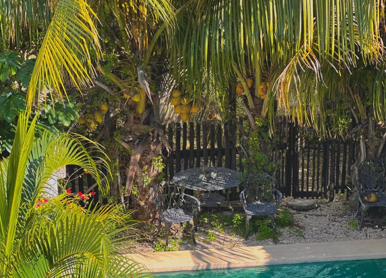 Hotel Jaiba Mahahual - Adults Only 3*,