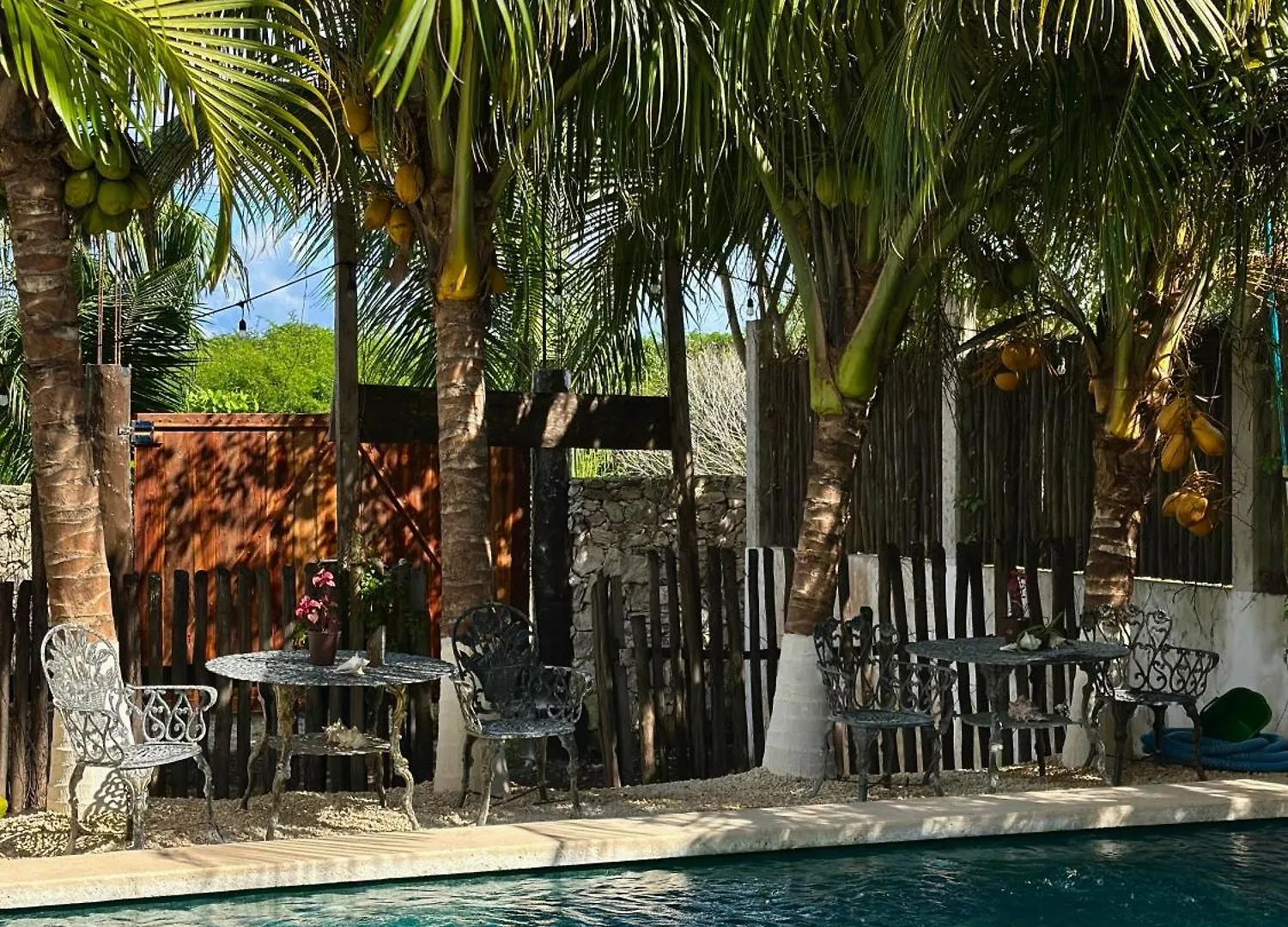 Hotel Jaiba Mahahual - Adults Only