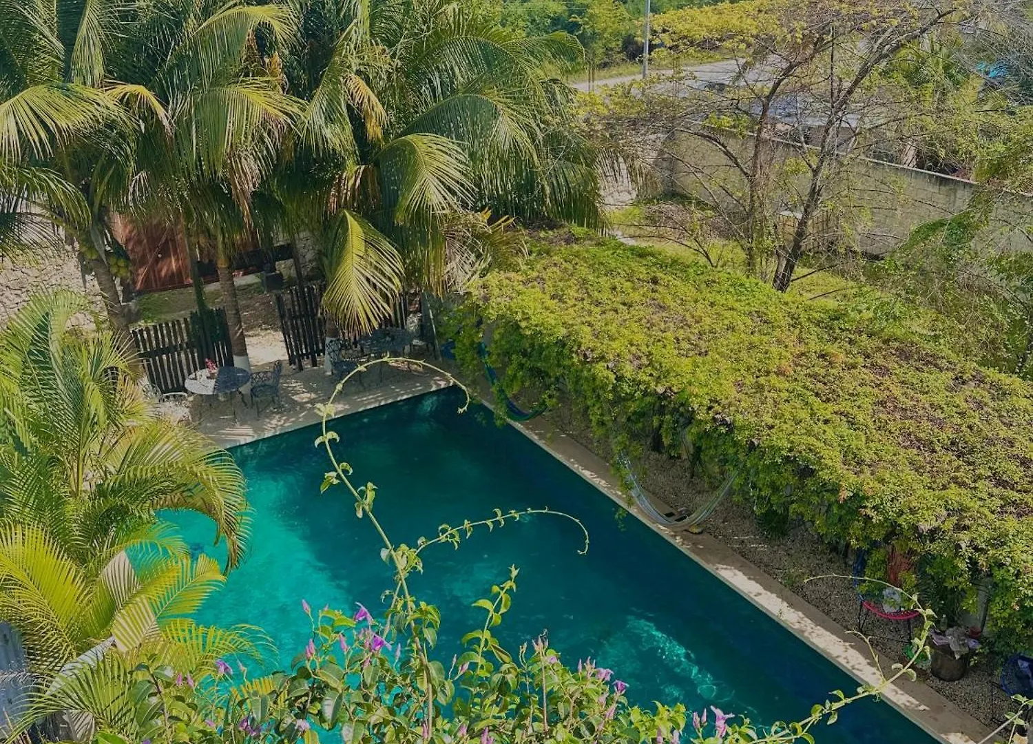 Hotel Jaiba Mahahual - Adults Only